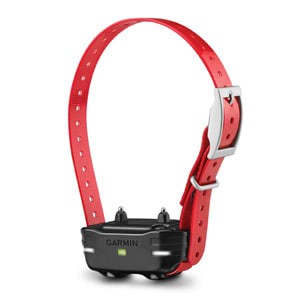 PT 10 Dog Device Red Collar 010-01209-00