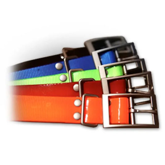 1-inch Collar Strap - Blue