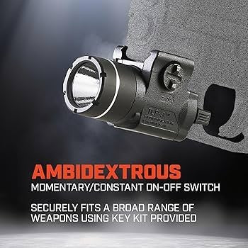 Stinger LED - 12V DC (TAA)